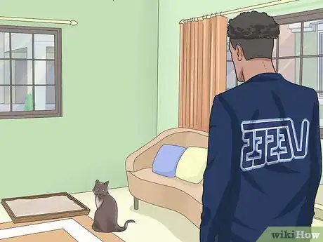 Step 5 临时把猫咪关起来。