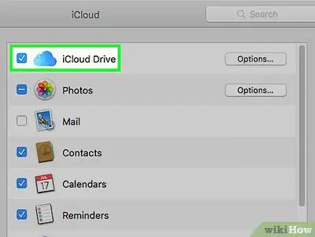 Step 4 勾选“iCloud Drive”旁边的对话框。