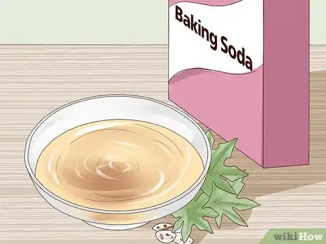 Step 4 使用蓖麻膏。