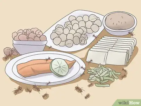 Step 2 存放食物。