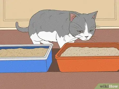 Step 4 逐渐换成新的猫砂。