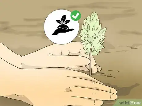 Step 2 种树或者开辟菜园。