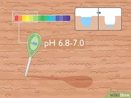 Step 4 种植在具有良好排水系统的酸性土壤里。