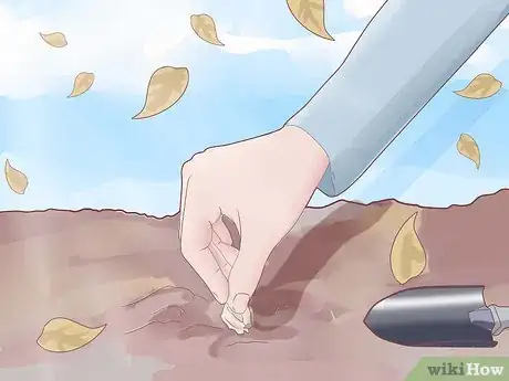 Step 4 种植蒜瓣。