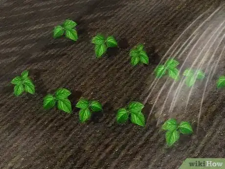 Step 2 给菜园浇水。