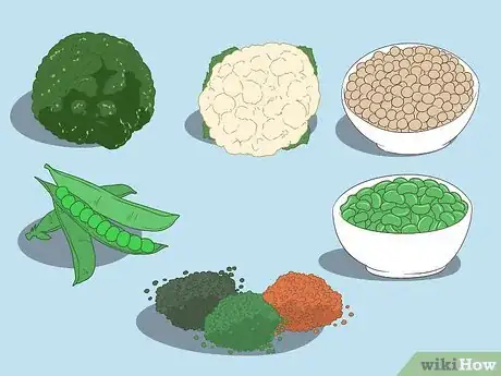 Step 5 食用植物类食品。