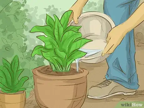 Step 1 用"灰水"浇灌花园和植物。