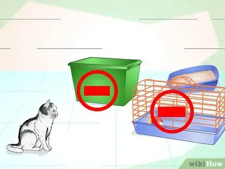 Step 3 确认猫砂盆是否进出方便。