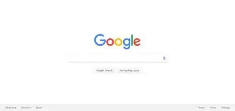 Google home page 2017.png