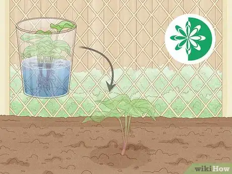 Step 4 确定种植时间。