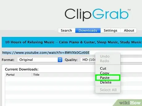 Step 7 把复制好的URL粘贴在 ClipGrab上。