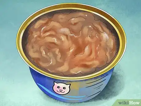 Step 3 给猫喂湿粮。