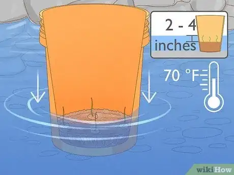 Step 6 把种植桶沉入池塘。