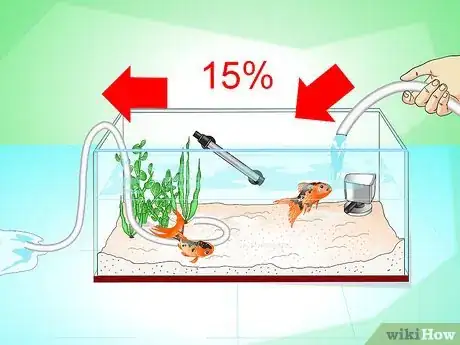 Step 3 清洁鱼缸并换水。