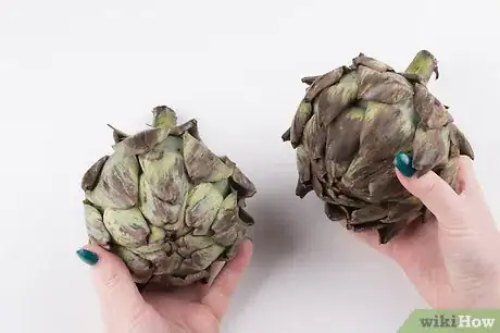 Step 1 选择好的洋蓟。