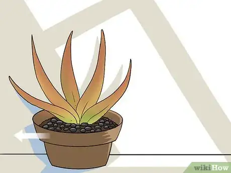 Step 2 转移植物。