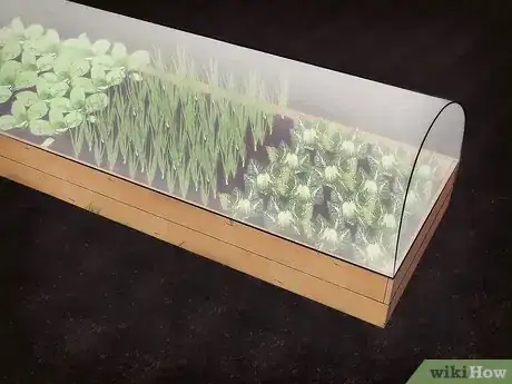 Step 3 为植物盖上覆盖物。