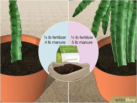 Step 1 新植物使用约118克化肥和1.2公斤粪肥。