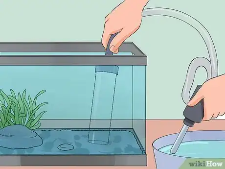 Step 3 清理水族箱里剩下的食物。