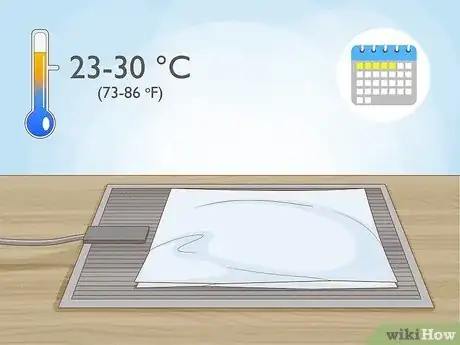 Step 2 让种子在温暖的地方静置2到5天。