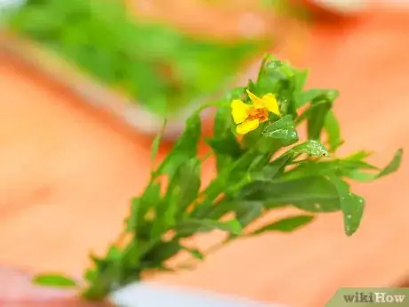 Step 7 用一小枝草药来装饰。