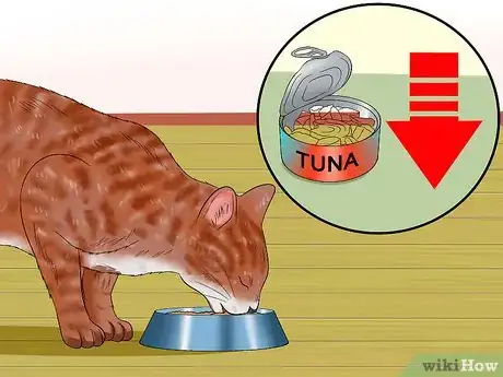 Step 8 限制给猫咪大量提供无害但也无益的食物。