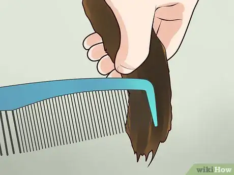 Step 6 最后用细齿梳或发刷把头发梳一遍。