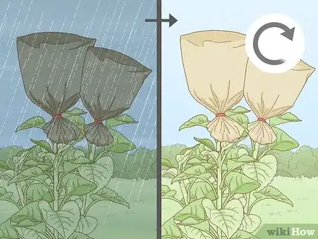 Step 3 需要的话就换一个袋子。