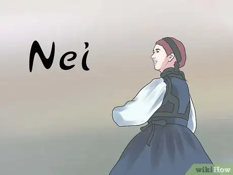 Step 29 冰岛语 — Nei（nay）