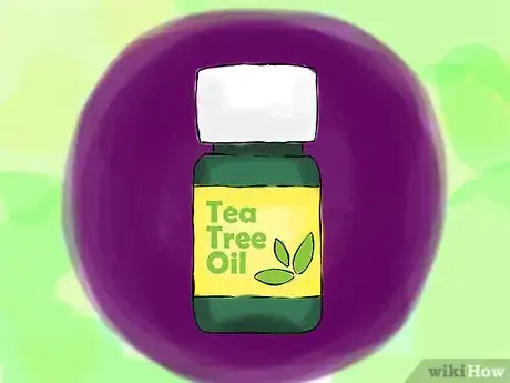 Step 1 使用茶树油。