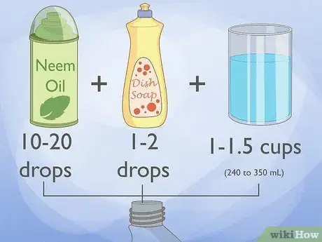 Step 5 用印度楝树油或其他有机农药消灭花园害虫。