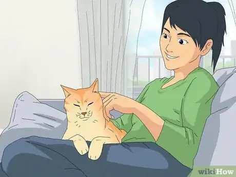 Step 3 带上会和猫咪有接触的人。