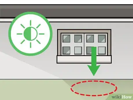 Step 1 找一块儿可以接受全日照，又有稍许荫蔽的地方种植栀子花。