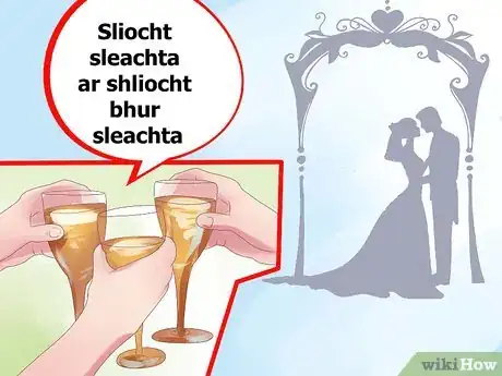 Step 3 婚礼上要说"Sliocht sleachta ar shliocht bhur sleachta"。