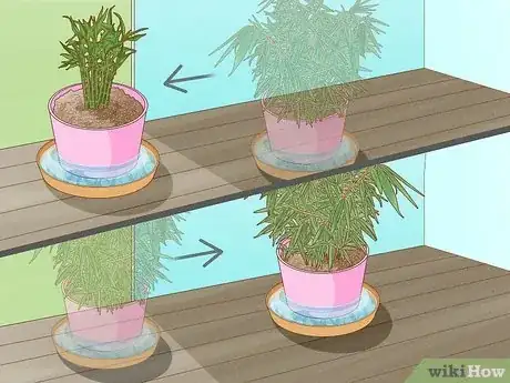 Step 3 找到适合植物的光照程度。