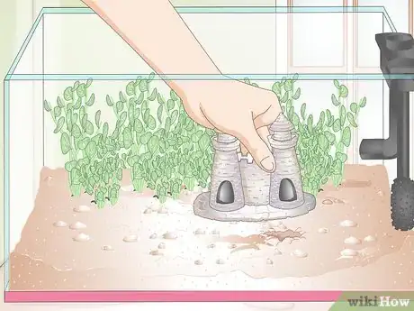 Step 1 准备斗鱼的小屋。