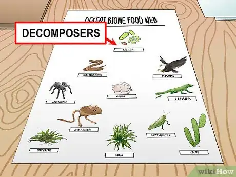 Step 2 通过添加腐食性生物或分解者，让食物网变得更加复杂。