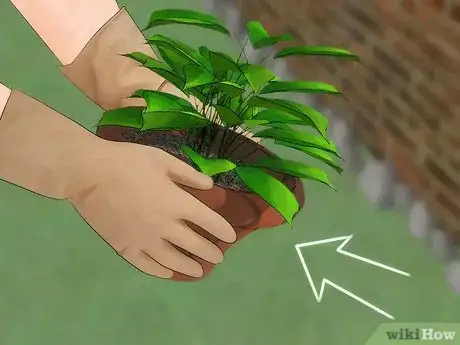 Step 3 移开房子周围的植物。