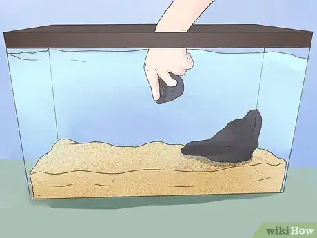 Step 4 添加水族箱饰品。