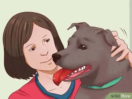 Step 5 爱抚爱犬。