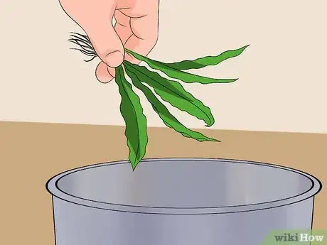 Step 2 扔掉所有活的植物。