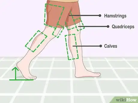 Step 2 走路时要充分运用你的小腿、腿筋和四头肌。