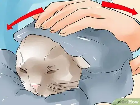 Step 2 照顾小猫。