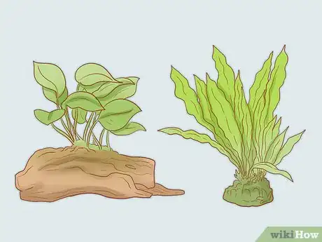 Step 1 考虑使用人造植物。