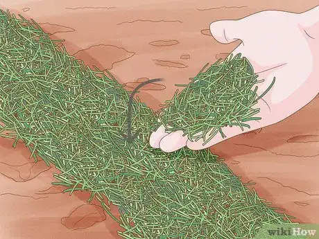 Step 4 在种植区播撒护盖物。