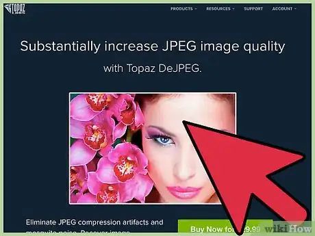 Step 1 检查Topaz DeJPEG是否适用于你的图片编辑软件。