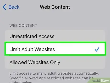 Step 10 选择限制成人网站。