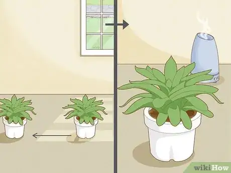 Step 5 让植物远离通风口。