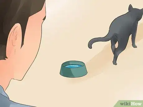 Step 4 关注猫咪的疼痛程度。