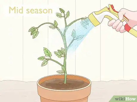 Step 2 给植物除尘。